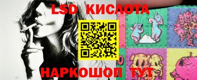 spice Кингисепп