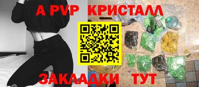 spice Кингисепп