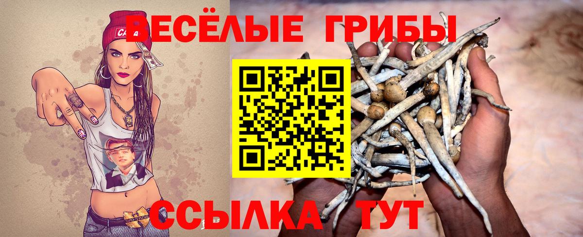 Галлюциногенные грибы Magic Shrooms  Вход с VPN  Галлюциногенные грибы прущие грибы  Азов 